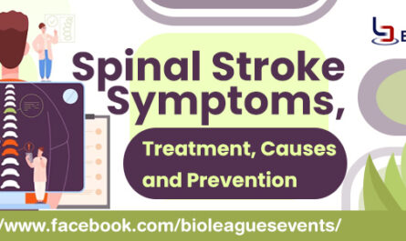 Spinal Stroke Symptoms